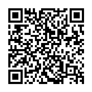 放置功法的藏书阁和放置各种宝物的藏宝阁是一定要放置傀儡的二维码生成