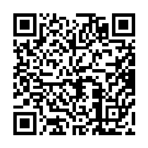 放言说虞品言只手遮天狼子野心的人压根没摸准成康帝脉门二维码生成
