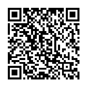 放过我们吧……我我们真的不是有意要这么做的……二维码生成
