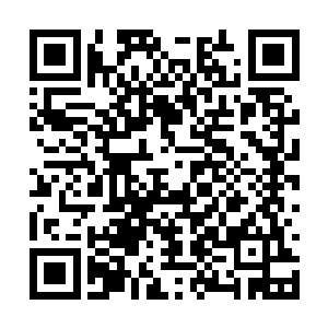 放进锅里和其他东西翻炒的时候……为什么这么香二维码生成