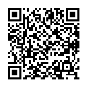 政府军方面应该没有猜到他们会这么快的向北进二维码生成