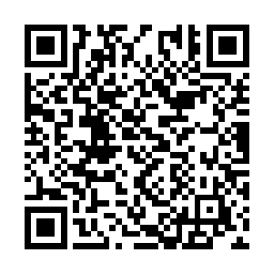 政府高层几乎没有一个人同意加入协约国对徳作战二维码生成