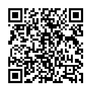 政治斗争总是要有牺牲品的……原本觉得不应该管的二维码生成