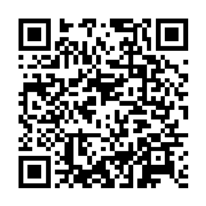 政治正确也是很重要的元素――起码这是很流行的观点二维码生成
