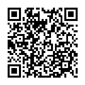 政治部主任和是哪个副县级侦查员也全部到位了二维码生成