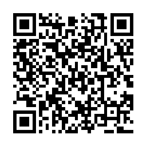 故事灵感来自我三岁大的妹妹朵萝茜和我家的小狗托托二维码生成