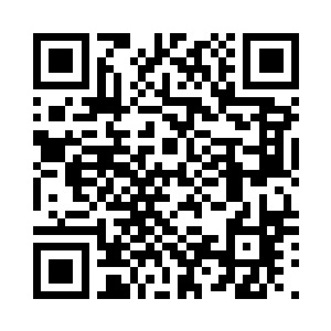 故作不解的瞅了一眼水中的大圆形鱼二维码生成