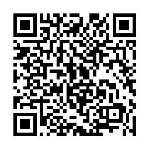 故作没有担忧的将韩风带到朱雀一族嫡系居住的地方二维码生成