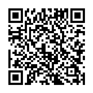 故意买个破绽与真露出破绽是两个完全不同的概念二维码生成