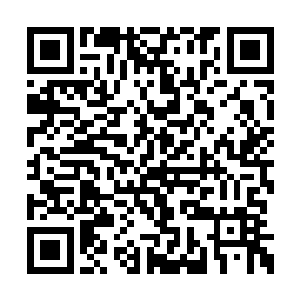 故而他们对青血龙王的下场没有义愤填膺的感觉二维码生成