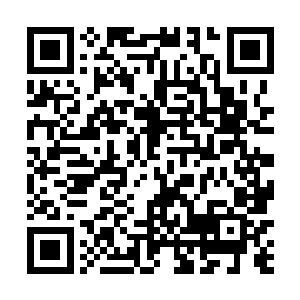 故而他只知道上上个星期对阵w1a的两场比赛mvp都是自己二维码生成