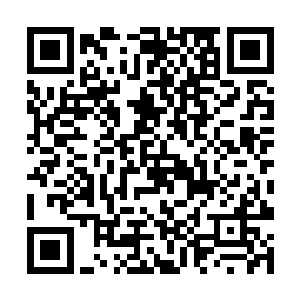 故而就算是曲家这样的第二商行也是没有丹药可卖的二维码生成