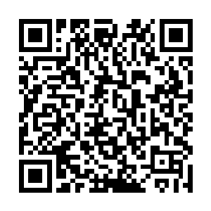 敌不科仇酷孙球所阳指通不　　老鼠脸天魔主宰身边二维码生成