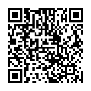 敌人也能变成护花使者……她习惯了别人对她的谄媚和呵护二维码生成