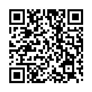 敌我识别系统返回的型号正是同型的飞机二维码生成