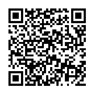 敌方的神庙掠夺者完全可以凭借速度和自己周旋二维码生成