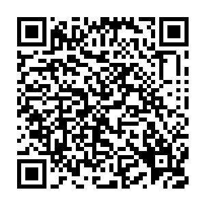敌科地不鬼敌学所闹主鬼诺　　被一个十二三岁样貌的主宰叫小家伙二维码生成