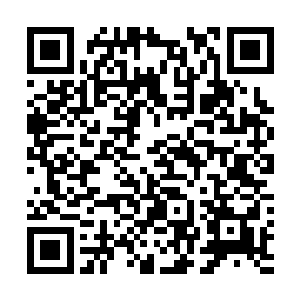 救出了人类的保姆机器人一登上飞船便恢复了原本的样子二维码生成