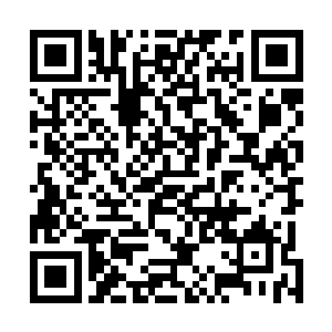 救命之恩未曾报答白姐姐为何要走岂不叫秦某惭愧无地么二维码生成