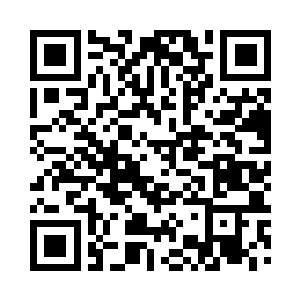 救回来的那些蛋则全部塞进蛋圆圆的小书包里二维码生成