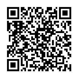 救援人员现了躺在草坪上的男人和他身旁不远处的枪二维码生成