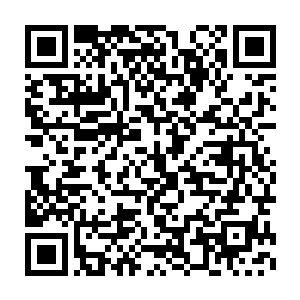 敖无暇只笑眯眯的伸手拿起他手里的那个印章递给了一旁的雪如楼二维码生成