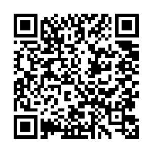 敖液这老奸巨猾的家伙是绝对不会暴露自己的真正实力的二维码生成