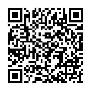 敖翔终究没有敢以龙爪灭掉独孤守缺的洞虚之灵二维码生成