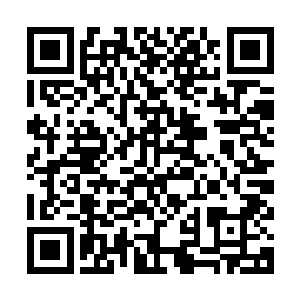 敖静川他们一行人的出现顿时吸引了营地中仙人和魔人们注意力二维码生成