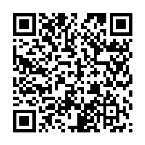 教主害了这么多人说不定走出这个山洞就会遭雷劈呢二维码生成