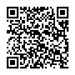 教主的歌迷俱乐部组织了几场官方粉丝观影活动二维码生成