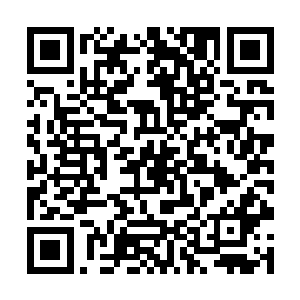 教宗提法已经带着一帮精锐牧师再次潜入主物质世界二维码生成