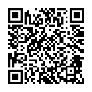 教宗陛下把象征着国教权柄的神杖交给了陈长生二维码生成