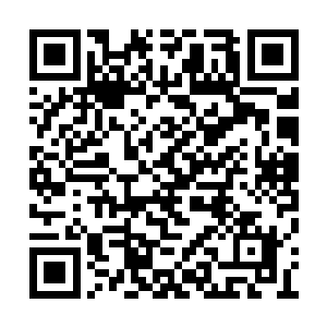 教官把一对皮下追踪器感应器送给他们作为奖励二维码生成