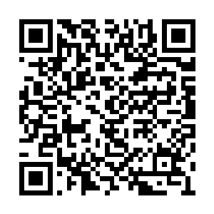教导连和一连还有六连携带的火箭筒本来就不少二维码生成