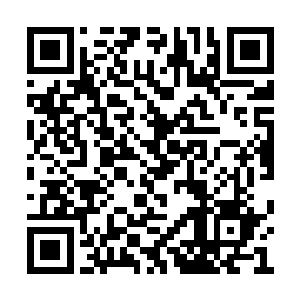 教授和康恩以及其余的金属龙全部出现在了这里二维码生成