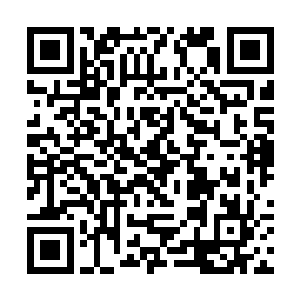 教皇已经透露出想让宝儿接手萨迦亚帝国神殿的意思二维码生成