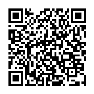 教育如果以不断地压抑人的梦想和天性而取得所谓的成绩二维码生成