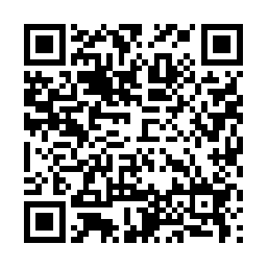教训这几个人只不过是为了给自己的弟弟争一点面子二维码生成