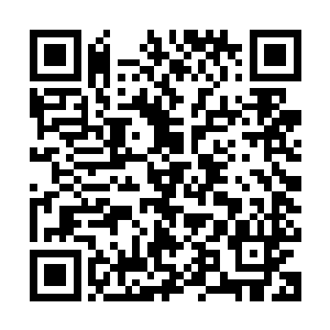 敢情他这个祖神祭司在这群树人眼中唯一的优点就是他还会说话二维码生成