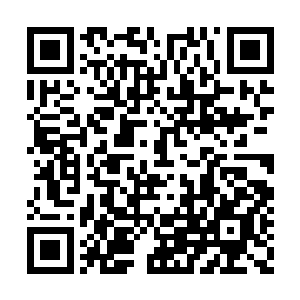 敢情她要送给妈妈和姥姥的也是一样的珍珠手链二维码生成