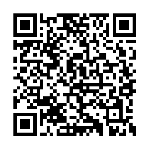 敢情这两人在拿龙羽敢不敢吃下这份早餐来打赌二维码生成