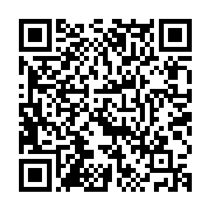 敢情这米灵馨是在米灵烟出事之后连这青木小楼都没有离开过啊二维码生成