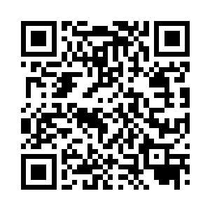 敢站在金睛玉雪卷毛狮子兽面前跟它对峙的二维码生成