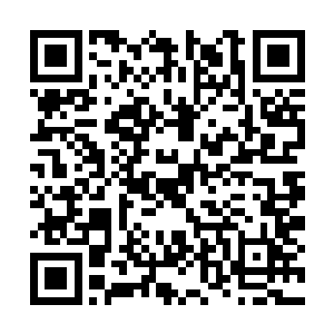 敢算计被姜氏保护的阿九和镇国长公主最疼的孙子二维码生成