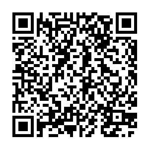 敢跑到王城宫殿中在有角人的包围下还敢说要挑战的无角人会是从哪里来的二维码生成