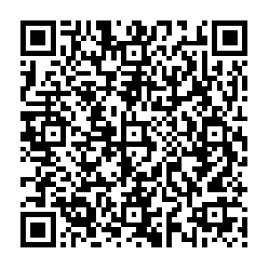散乱的发丝与憔悴凄惶的神sè都在诉说着她在这段时间内的提心吊胆与经历的杀伐景状二维码生成