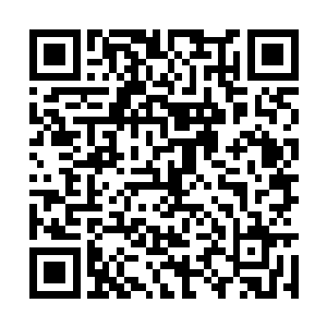 散发出一层金色的光幕交织在一起护住了这方乾坤二维码生成