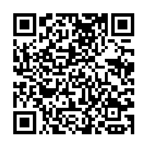 散发出浓浓的生机令这里的死灵全部嘶吼看向了这里二维码生成
