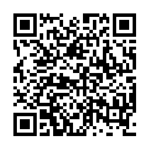 散发着七彩霞光的温神莲此刻发挥出了至关重要的作用二维码生成